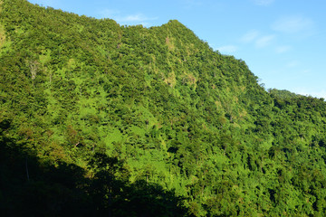 サモア　アピアの自然
