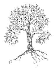 Fantasy tree, line art, hand drawn, high resolution 600 dpi. Isolated in white. Color of tree can be easily changed