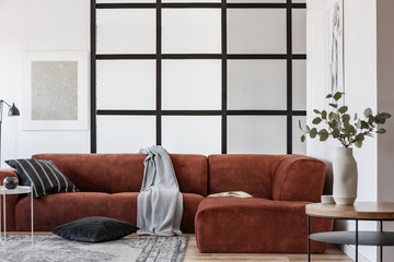 Grey blanket and black pillows on elegant velvet corner sofa