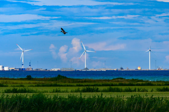 Frederikshavn, Denmark. A long view of the port of Frederikshavn used by ferries to Sweden.