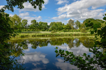 Fototapeta na wymiar Landscape of the lake at Vestbirk in Denmark