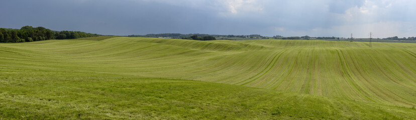 Landscape of a green meadow in Denmark