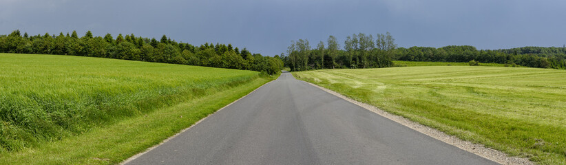 Fototapeta na wymiar Road in the middle of a green meadow