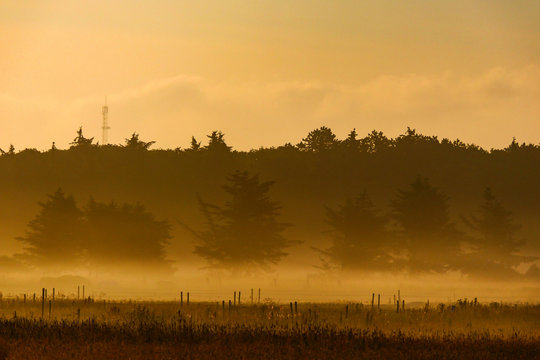 Hirtshals Denmark A rural scenic in the early morning mist. © Alexander