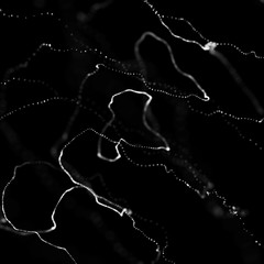 Abstract black 3d sphere. Sphere with twist lines. Glowing lines twisting Logo design. Outer space object. Futuristic technology style. Sphere particles. 3d rendering.