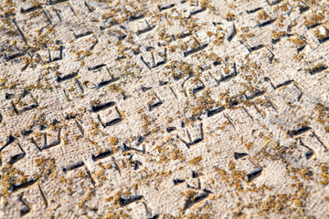 View of a Jewish tombstone in a cemetery