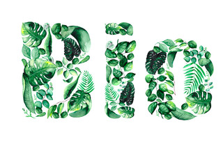 Botanical composition of green tropical leaves in the form of the word 