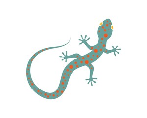 Gecko logo vector icon illustration