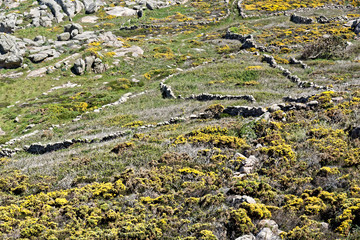 Landschaft an der Küste von Galicien geprägt durch uralte Landwirtschaft