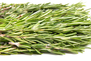 fresh rosemary on white background