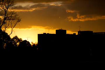 Obraz premium Atardecer en la ciudad