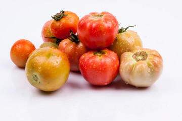 Red tomatoes - white background.