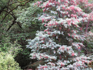 Serra Do Geres - Portugal