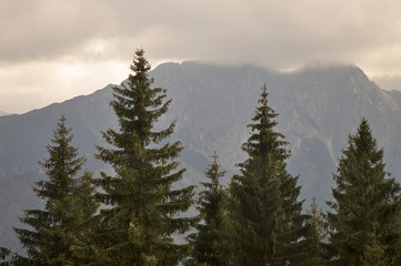 Landscape near Zakopane. Poland