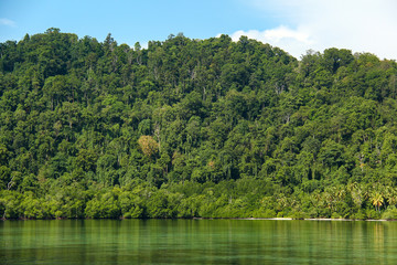 Fototapeta na wymiar Deep jungle over green clear water of the ocean in Raja Ampat, south-east Asia.