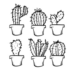 doodle exotic cactuses plants summer desert tropical flora cartoon botanical hand drawn cartoon style