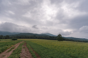 Dirt trail in a meadow with mountain range covered in fog in Bieszczady, Poland.