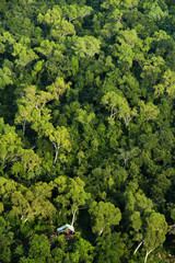 Naklejka premium Little wooden hut in the deep green jungle of Myanmar/Birma.