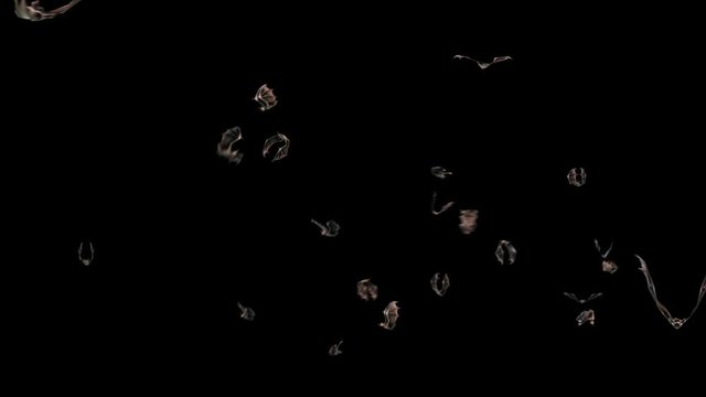Many Bats Halloween Alpha Matte Fly 3D Rendering Animation 4K