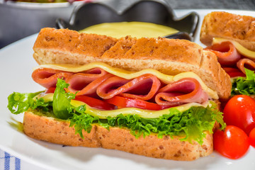 Ham and Cheese Sandwich