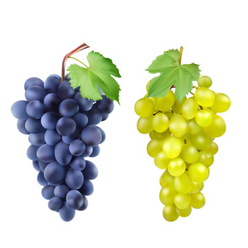 Red and white table grapes, wine grapes. Fresh fruit, 3d icon set. Cluster of grapes red and white 3d set for design.