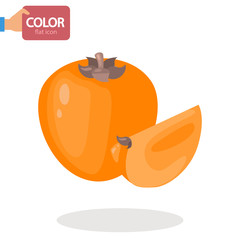 Persimmon color vector icon. Flat design