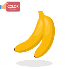 Banana fruit color vector icon. Flat design