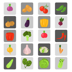 Vegetables color vector icons set. Flat design