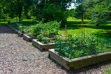 Planters at a Community Garden in a Park in Edgewater Chicago