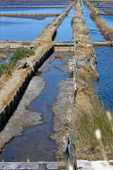 Obraz premium Salt producing lagoon, Nin