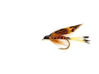Grouse & Claret Wet Trout fly Fishing Fly
