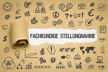 Fachkundige Stellungnahme