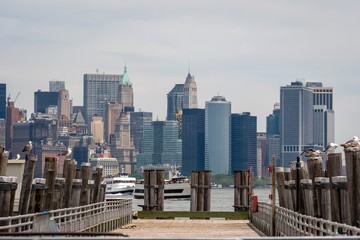 Obraz premium Seagulls at the Old Ferry Dock on Liberty Island near New York City, USA - Image