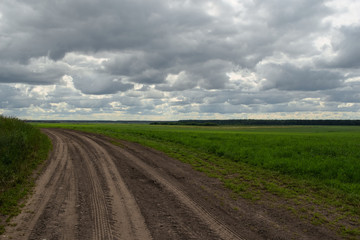 Clouds hang over a green field and a dirt road stretching beyond the horizon.
