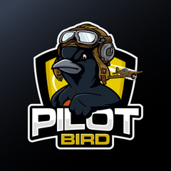 Pilot Black Bird