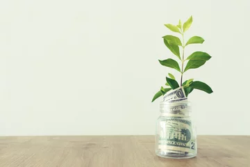 Fotobehang Business image of plant growing in savings jar, money investment and financial growth concept © tomertu
