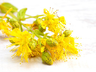 Yellow Hypericum flowers on a wooden background
