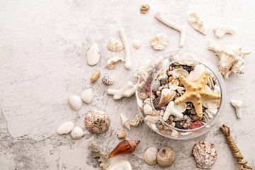 seashells in a glass vase and scattered on grey marble background top view flat lay