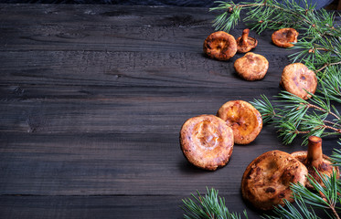 Copy space frame of raw mushroom on dark background. Top view, healthy organic kitchen. Frame mushrooms and pine branches and needles