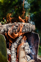 cast-iron metal brazier for grill barbecue picnic kebabs with wooden burning logs in a bonfire with tongues of fire and smoke.