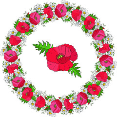 wreath of pink poppy and camomile and green leaves