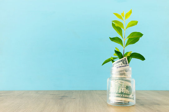 Business image of plant growing in savings jar, money investment and financial growth concept