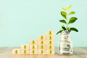 Fototapeta na wymiar Business image of plant growing in savings jar, money investment and financial growth concept