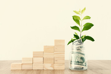 Business image of plant growing in savings jar, money investment and financial growth concept