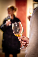 CATA DE VINOS