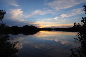 Obraz premium Sunset on Paurotis Pond in Everglades national Park, Florida.