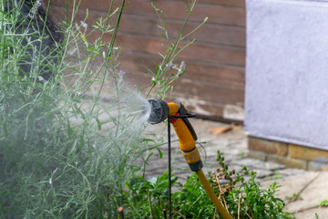 Portable garden automatic plastic pipe irrigation system with a mounted shower spray head watering lawn.
