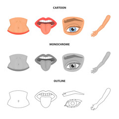 Isolated object of body and part icon. Set of body and anatomy vector icon for stock.