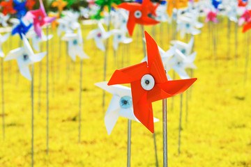 Pinwheel standing on the field of Wind.