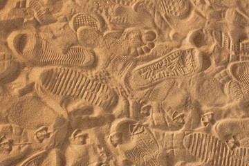 Traces of protectors of shoes, bare feet and gulls on the sand in the rays of the warm sunset sun.